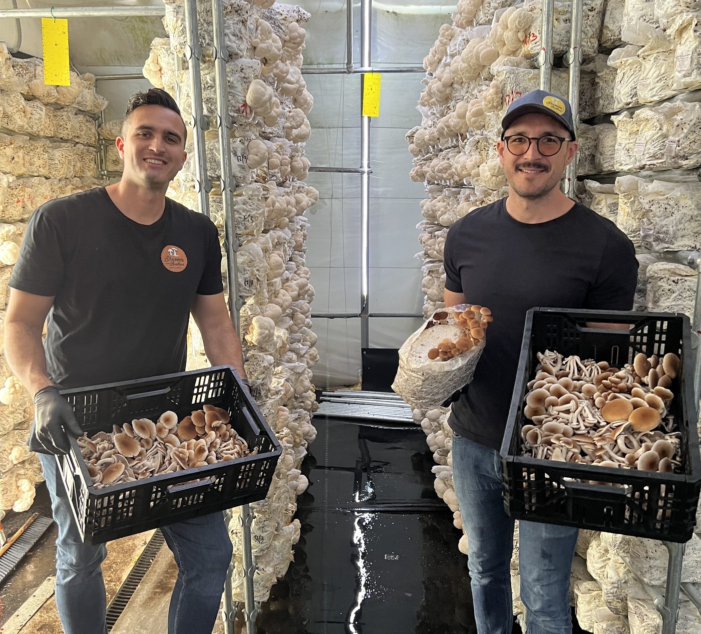Abel and Andrew Mohanu holding crates of freshly harvested mushrooms in the grow room