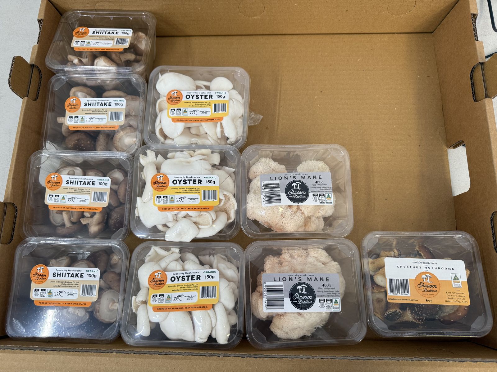 Retail punnets of specialty mushrooms packed for market